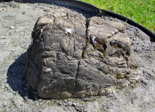 dolomie,stromatolite,laterrière,albanel,rivière-aux-sables,jean-guy belley